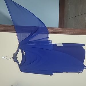 Eliza Z (from Nordstroms) Royal blue dress